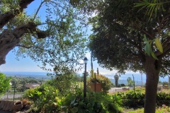 garden-sicilia